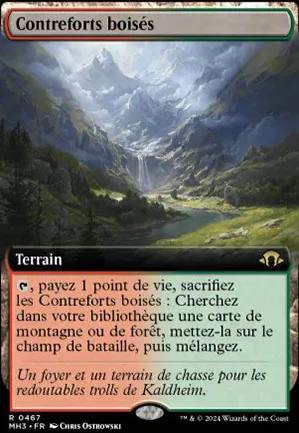 Contreforts boisés