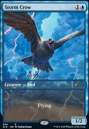 Corbeau de l'orage