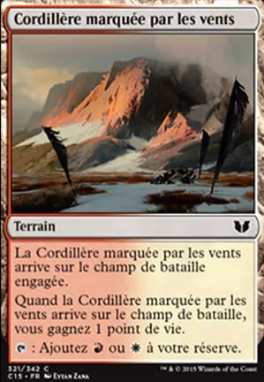 Cordillère marquée par les vents
