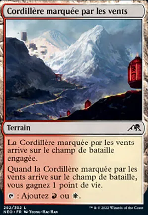 Cordillère marquée par les vents