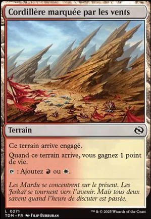 Cordillère marquée par les vents
