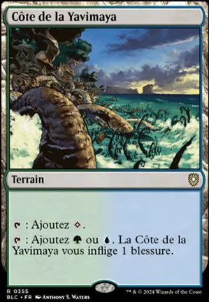 Côte de la Yavimaya