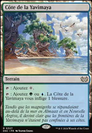 Côte de la Yavimaya