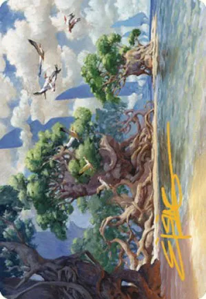 Côte de la Yavimaya - Illustration