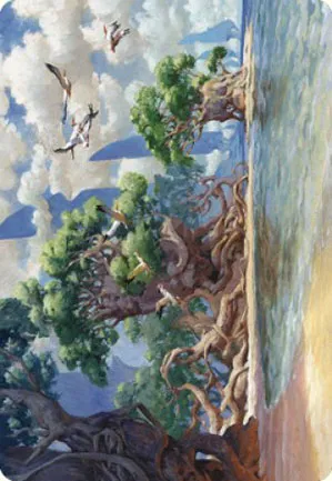 Côte de la Yavimaya - Illustration