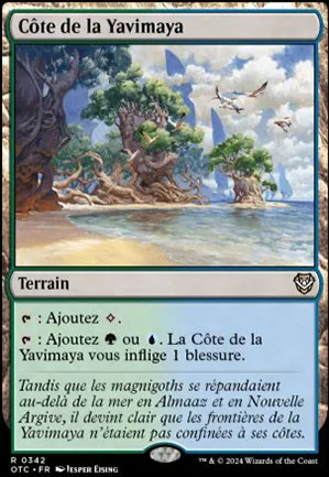 Côte de la Yavimaya