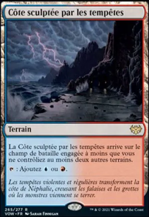 Côte sculptée par les tempêtes