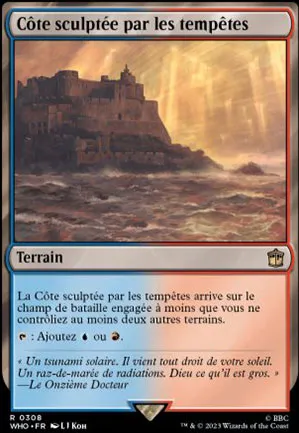 Côte sculptée par les tempêtes