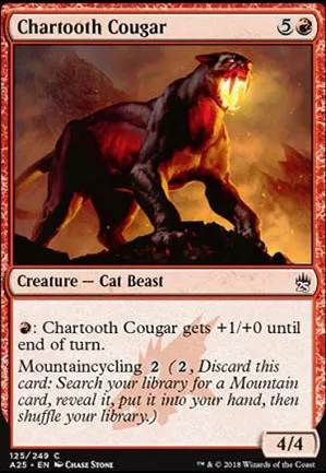 Couguar cendredent