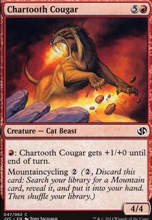 Couguar cendredent