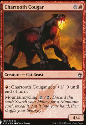Couguar cendredent