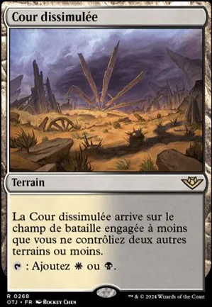 Cour dissimulée