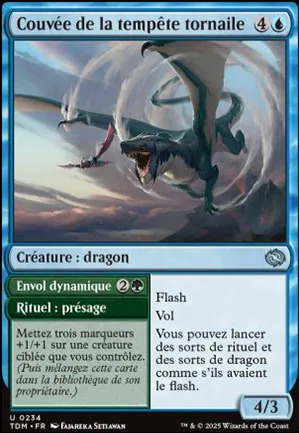 Couvée de la tempête tornaile // Envol dynamique