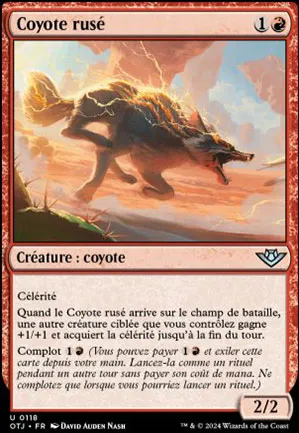 Coyote rusé