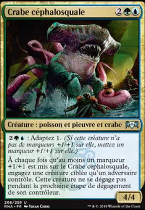 Crabe céphalosquale