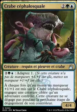 Crabe céphalosquale