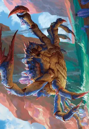 Crabe des canyons - Illustration