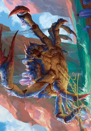 Crabe des canyons - Illustration