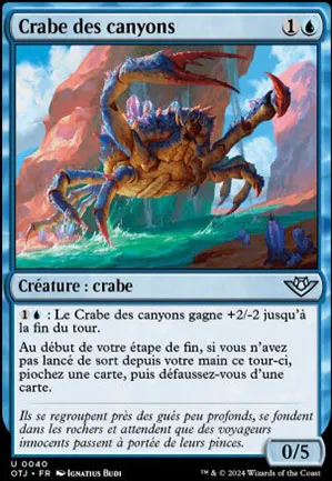 Crabe des canyons