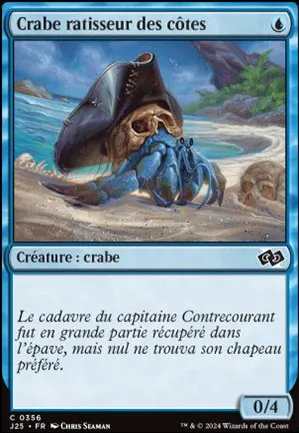 Crabe ratisseur des côtes
