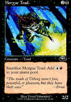 Crapaud des morgues