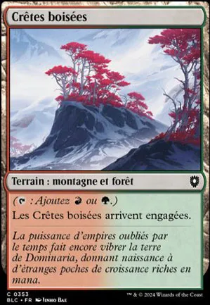 Crêtes boisées