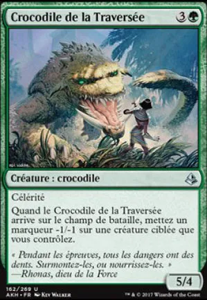 Crocodile de la traversée