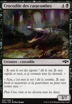 Crocodile des catacombes