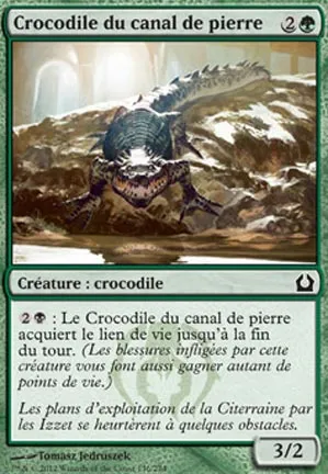 Crocodile du canal de pierre