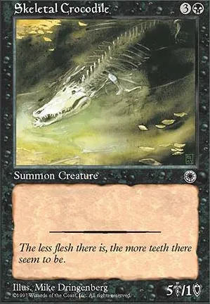 Crocodile squelette