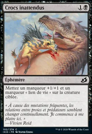 Crocs inattendus