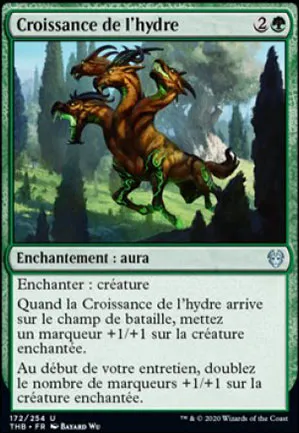 Croissance de l'hydre