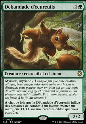 Débandade d'écureuils