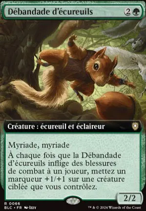Débandade d'écureuils