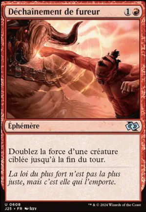 Déchaînement de fureur