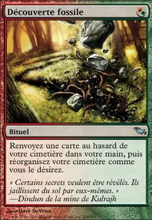 Découverte fossile
