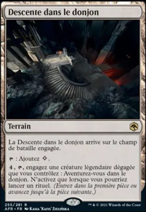 Descente dans le donjon