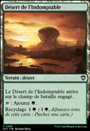 Désert de l'Indomptable
