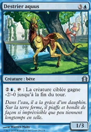Destrier aquus