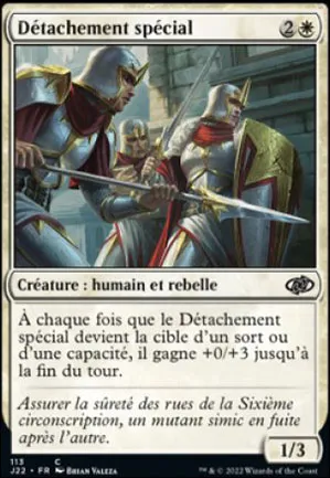 Détachement spécial
