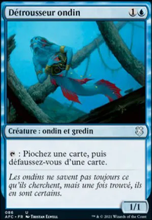 Détrousseur ondin