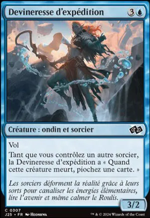 Devineresse d'expédition