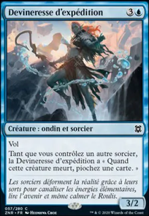 Devineresse d'expédition