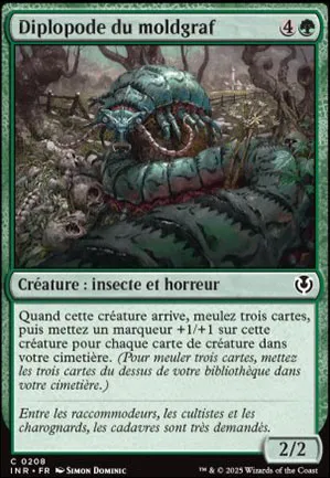 Diplopode du moldgraf