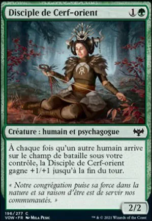 Disciple de Cerf-orient