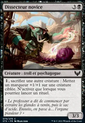 Dissecteur novice