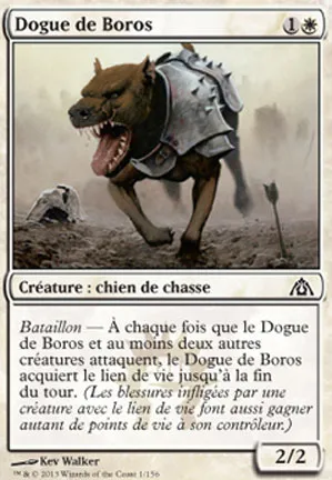 Dogue de Boros
