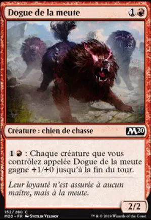 Dogue de la meute