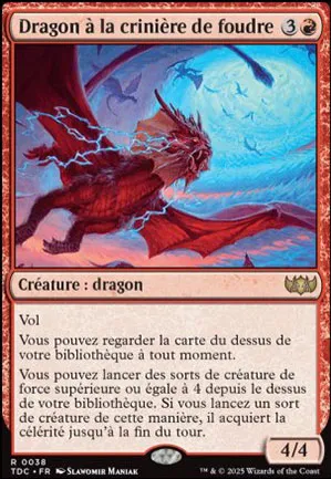 Dragon à la crinière de foudre