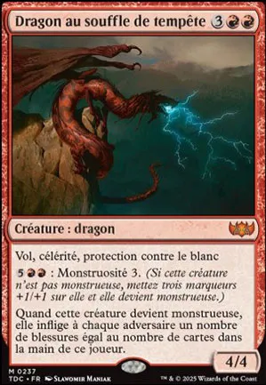 Dragon au souffle de tempête